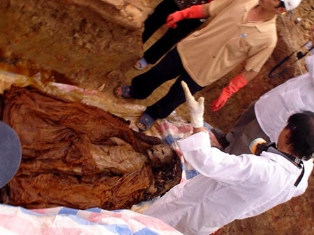 Bí mật về cây gỗ chế tinh dầu ướp xác chết